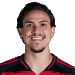 Pedro Guilherme Abreu dos Santos fotoğrafı