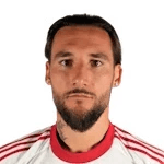 Nemanja Gudelj fotoğrafı