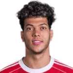 Emam Ashour Metwally Abdelghany fotoğrafı