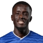 Idrissa Gana Gueye fotoğrafı