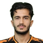 Seyed Mehdi Hosseini fotoğrafı
