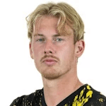 Julian Brandt fotoğrafı